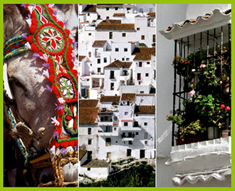 Mijas